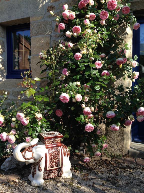 Le Domaine De Saint-thomin Bed and breakfast