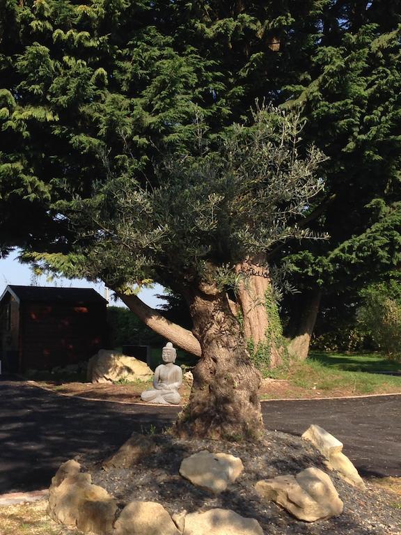 Bed and breakfast Le Domaine De Saint-thomin